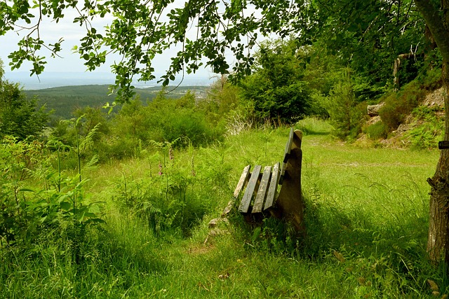 表现证明了 表现证明了