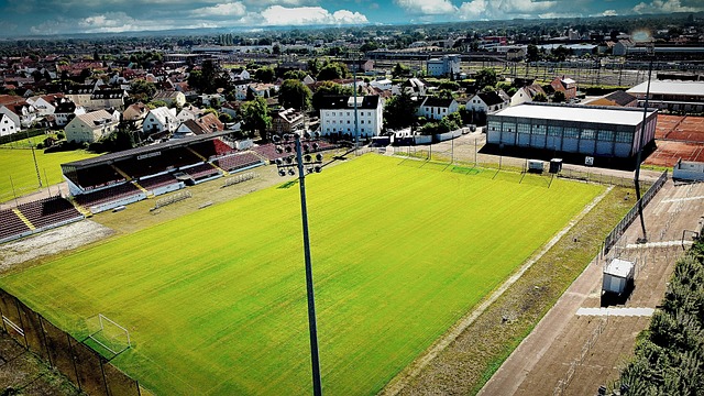 让我们来看 让我们来看