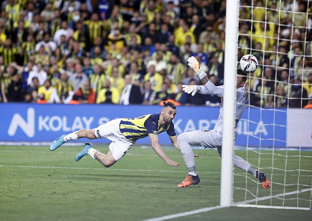 的姿态面对 的姿态面对