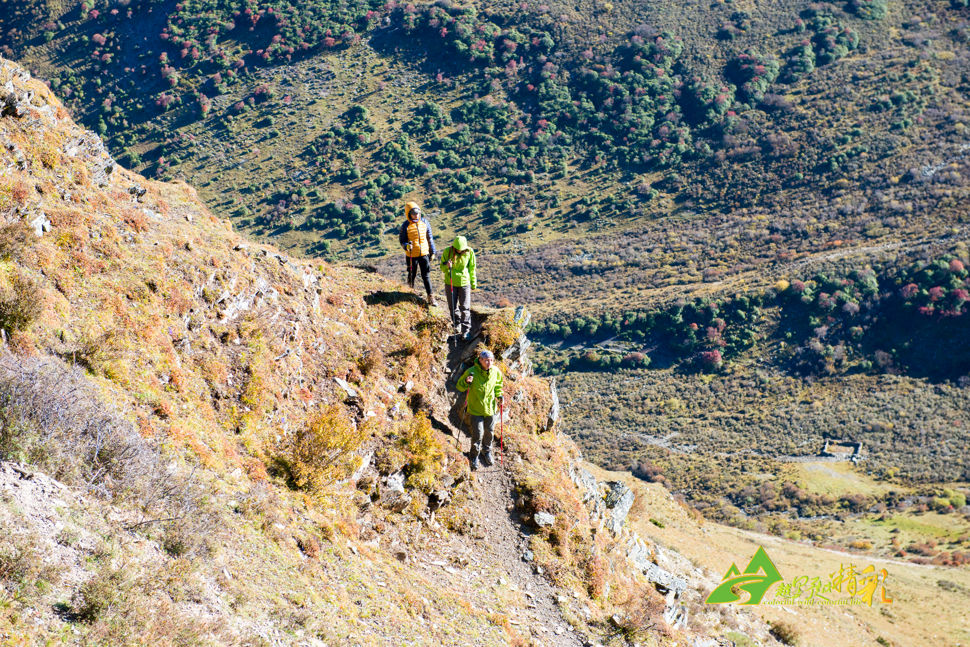 一位球员可 一位球员可